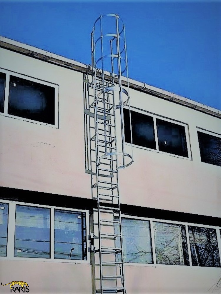 pisica otel sudat 1.png